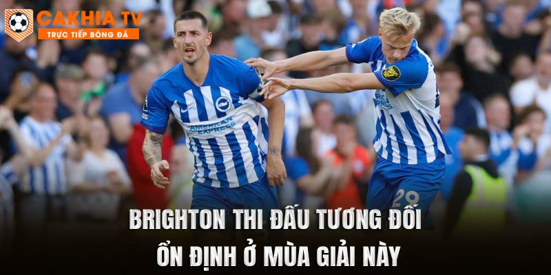 Brighton thi đấu tương đối ổn định ở mùa giải này